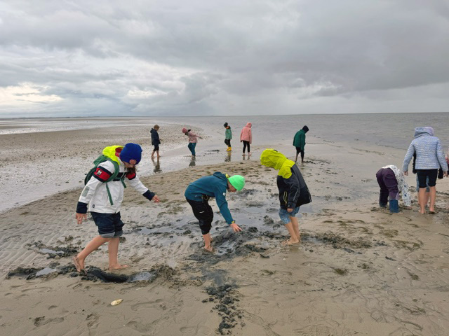 GS Strande, Klassenfahrt Sylt 2024